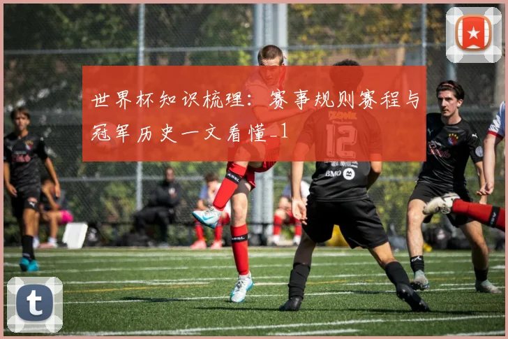 世界杯知识梳理:赛事规则赛程与冠军历史一文看懂_1