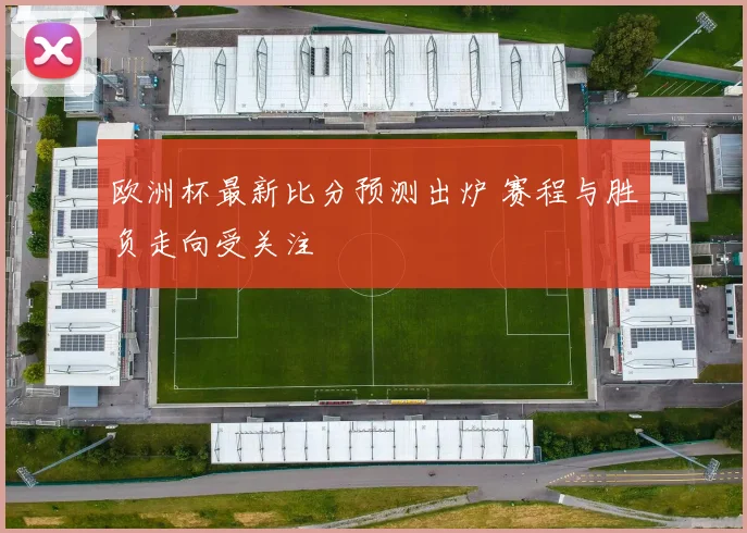 欧洲杯最新比分预测出炉 赛程与胜负走向受关注